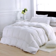 HOYACASA 92/8法國立體隔間羽絨被-單人/雙人/加大