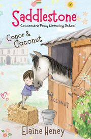 Saddlestone Connemara Pony Listening School | Conor and Coconut Elaine Heney
