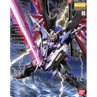 MG 1/100: Destiny Gundam