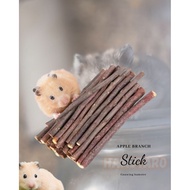 Gnawing Hamster Bites Apple Stick apple orchard stick, Apple chew