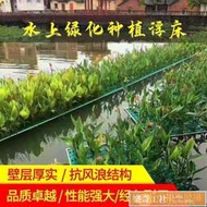 可開發票 人工生態浮島水上綠化種植浮床水面植物水稻空心菜蔬菜種菜浮板