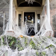 Widow Spider Web Fake Ready-Made Halloween Decoration