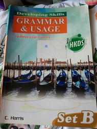Developing skills grammar & usage set B