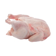 Whole Spring Chicken 1kg-1.3kg±/pc (sold per bird) ✔️ HALAL
