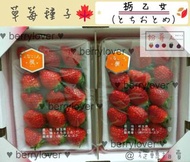 ❤️粉莓人🖤日本草莓種子10顆 栃乙女 櫪乙女 栃木少女 櫪木少女