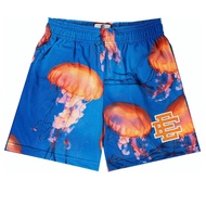 EE Eric Emanuel Men Beach Board Shorts 2024 Summer Gym Jogging Mesh Casual Shorts