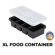 Large ice cube food storage container (2-compartment / 4-compartment / 6-compartment)