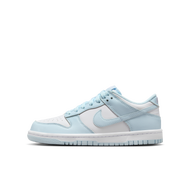 Nike Dunk Low 大童運動鞋