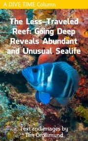 The Less Traveled Reef: Going Deep Reveals Abundant and Unusual Sealife Tim Grollimund