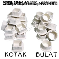 Water dish waterdish feeding dish food worm calcium dish bowl waterdish Water container food drinkin