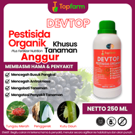 Obat Hama Daun Anggur Kuning / Obat Semprot Hama Pohon Anggur / Obat Hama Anggur / Obat Hama Ulat Da