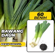 Purie Garden Benih Bibit Bawang Daun 60 Benih Dua Ribuan