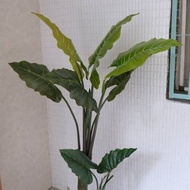 人造植栽/仿真姑婆芋/仿真植物/綠化/永不凋零
