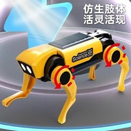 2025新款科教太阳能机器狗steam手动DIY拼装益智科学实验男女孩玩具机器人20250331