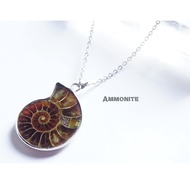 Top Quality Fire Ammonite, Fossil, Ancient Stone,Fengshui Necklace
