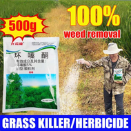 Comark Hexazinone herbicide grass and weeds killer 500g Hexazinone root remove tree bamboo weeds wit