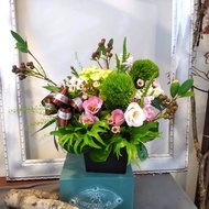 典雅祝賀生日花禮 鮮花盆花