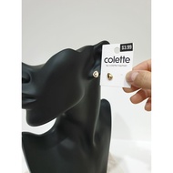 Cantaloupe seed earrings