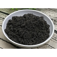 PURE Sesame Powder.  Serbuk Bijan Hitam Tulen. Halal.