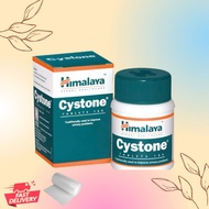 Himalaya Cystone Tab 100's
