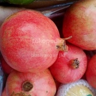 buah delima merah import