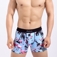 New collection Men's Underwear Boxers Sexy gym PULL Bikini Under Wear Manin cartoon leica