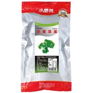 Fast Shipping | Small Mill🌿Coriander Leaves 250g [Vegan] Coriander Leaves | Choose Imported Coriande