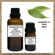 (ritasoap) 100% PURE E/O - CINNAMON LEAF EO (AUROMA/AUSTRALIA) 100%纯单方精油 - 肉桂叶精油 (AUROMA/澳洲)
