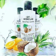 SHAMPOO SANTAN MY HOME LAB