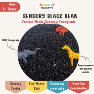 House of Peekaboo - Black Bean Black Beans sensory play grains sensory media for children aged 1 2 3