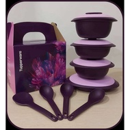 Tupperware Purple Royale Blossom Petit set