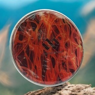 Mika darbuka/8inch/83/4inch/9 inch/10 inch/dumbuk/keprak/tam tam/