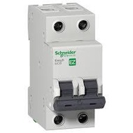 Schneider Easy9 6A 10A 20A 32A 40A 63A 2 Pole MCB 4.5KA