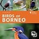 Birds of Borneo (Helm Wildlife Guides) by Myers