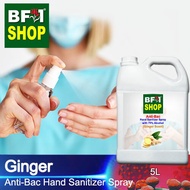 Antibacterial Hand Sanitizer Spray with 75% Alcohol (ABHSS) - Ginger - 5L