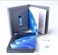 Win 11 Professional USB Retail box FPP