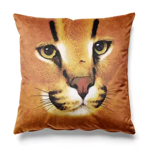 Aertemisi 18'' x 18'' Big Floppa Face Square Throw Pillow Cushion Covers Cases Pillowcases 45cm x 45