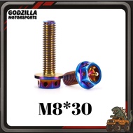 SKRU TITANIUM SKRU UNIVERSAL WARNA TITANIUM M8 SAIZ