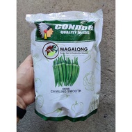 ✍CONDOR SEEDS - OKRA SEEDS - CAMILING SMOOTH - 1 KILO✷