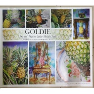 Goldie Sketch Pad Artist Watercolour Pad Artist Water Colour Paper A2 300gsm