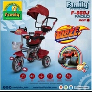 Sepeda Anak Family F6J
