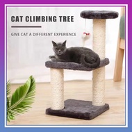 CLear STock Happy Pet Cat Scratcher Poles Tree Board Condo House Toys
