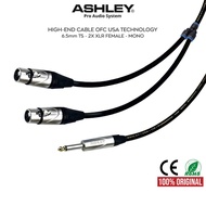 ASHLEY ASHLEY | Ashley 1x Akai TS Mono Audio Cable - 2x XLR Female | Ashley Official Store - Ashley 