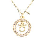 12 Constellations Shiny Zircon Pendant Zodiac Sign Horoscope Astrology Disc Charm Necklace