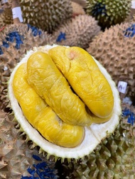 Durian musang king utuh bulat