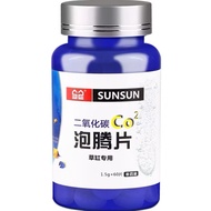 60pcs Sunsun CO2 Tablet Water Plant karbon dioksida Carbon Dioxide CO2 Tablet for Aquarium Fish Tank