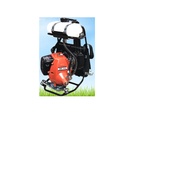 Brush cutter Echo RM-315