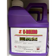 [RACUN RUMPAI] C-BOLERO (4LITER)