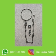 Rantai Rante Burung Kakatua Afgrey Jambul Kuning Galah Severe