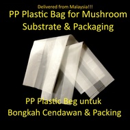 Mushroom Plastic Bag / Plastik Beg Media Cendawan (Bongkah) Substrate Packaging